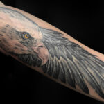 Unterarm Tattoo Weißkopfadler